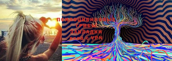 марки nbome Алексин