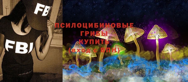 ПСИЛОЦИБИНОВЫЕ ГРИБЫ Алексеевка