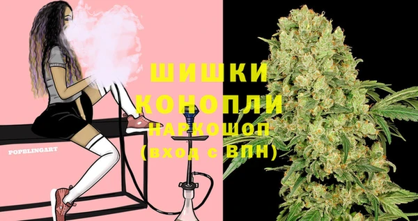 ПСИЛОЦИБИНОВЫЕ ГРИБЫ Алексеевка