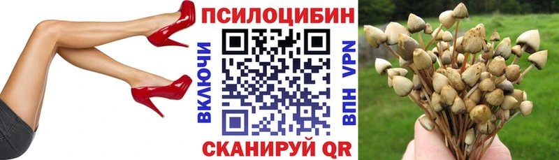 даркнет сайт  Белозерск  Псилоцибиновые грибы Psilocybine cubensis 